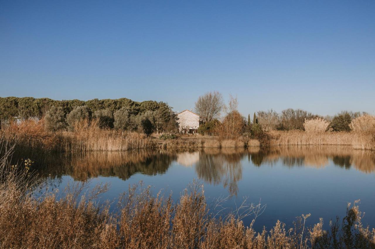 Waya A Domaine Saint Domingue Bed & Breakfast Narbonne Eksteriør bilde