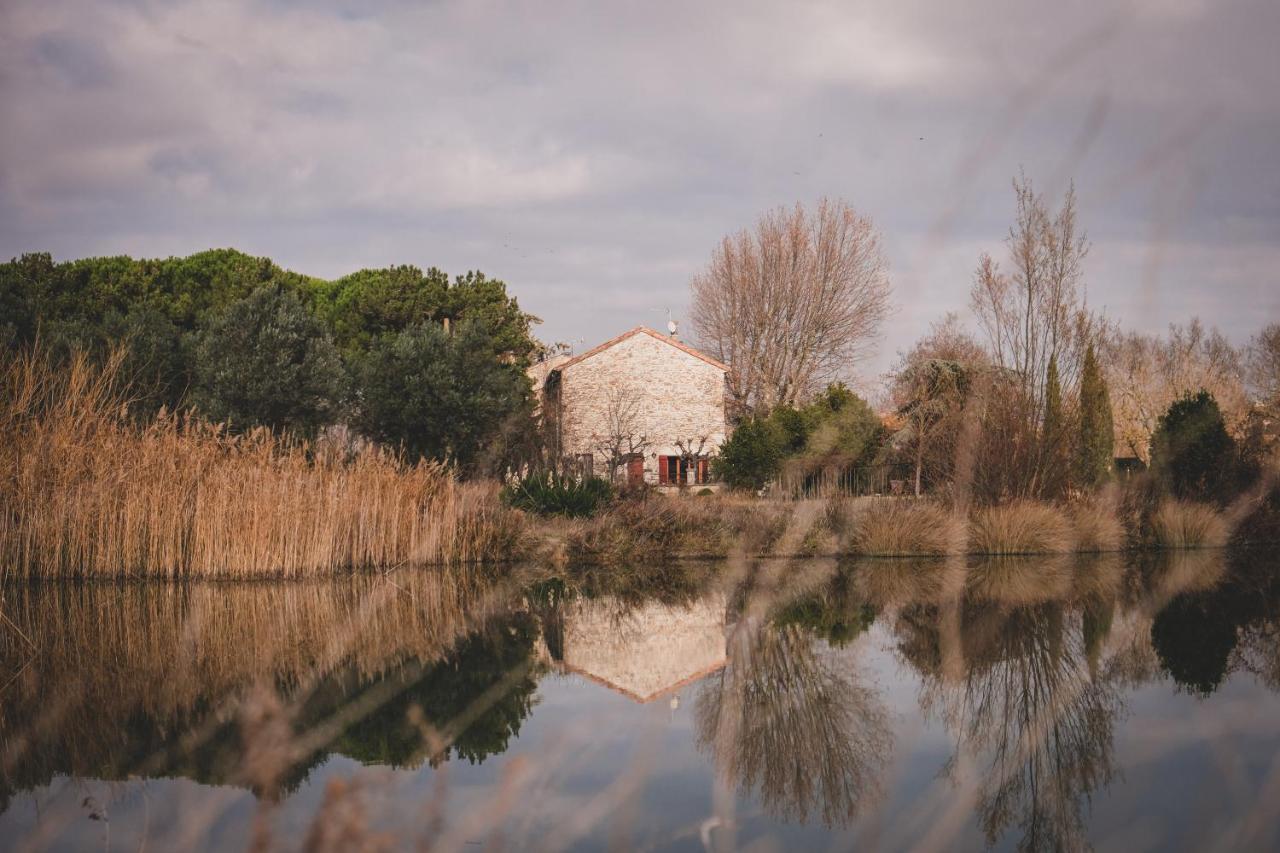Waya A Domaine Saint Domingue Bed & Breakfast Narbonne Eksteriør bilde